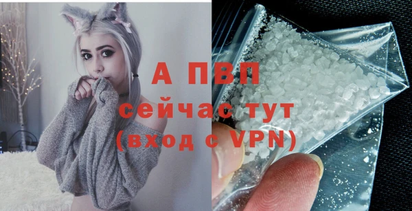 спиды Абаза