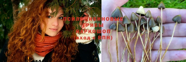 каннабис Абдулино